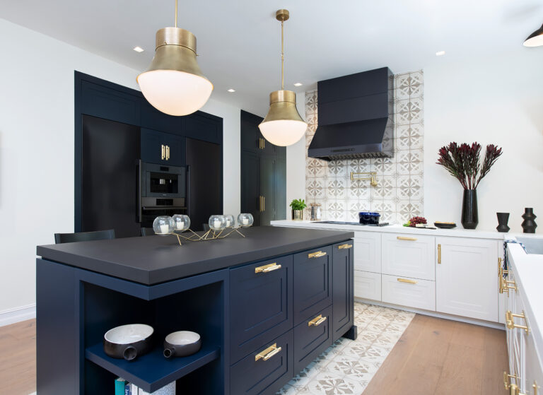 Modern Minimalist Kitchen